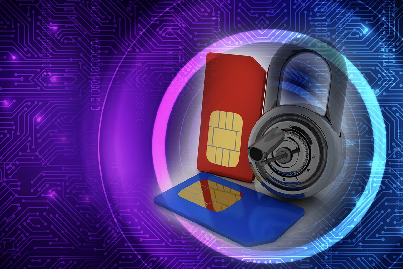 Qu'est-ce qu'une carte SIM IoT à IP fixe ?